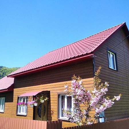בית הארחה Verkhnyaya Bystra 	Відпочинок У Карпатах, Мінеральні Ванни, Банний Чан! מראה חיצוני תמונה