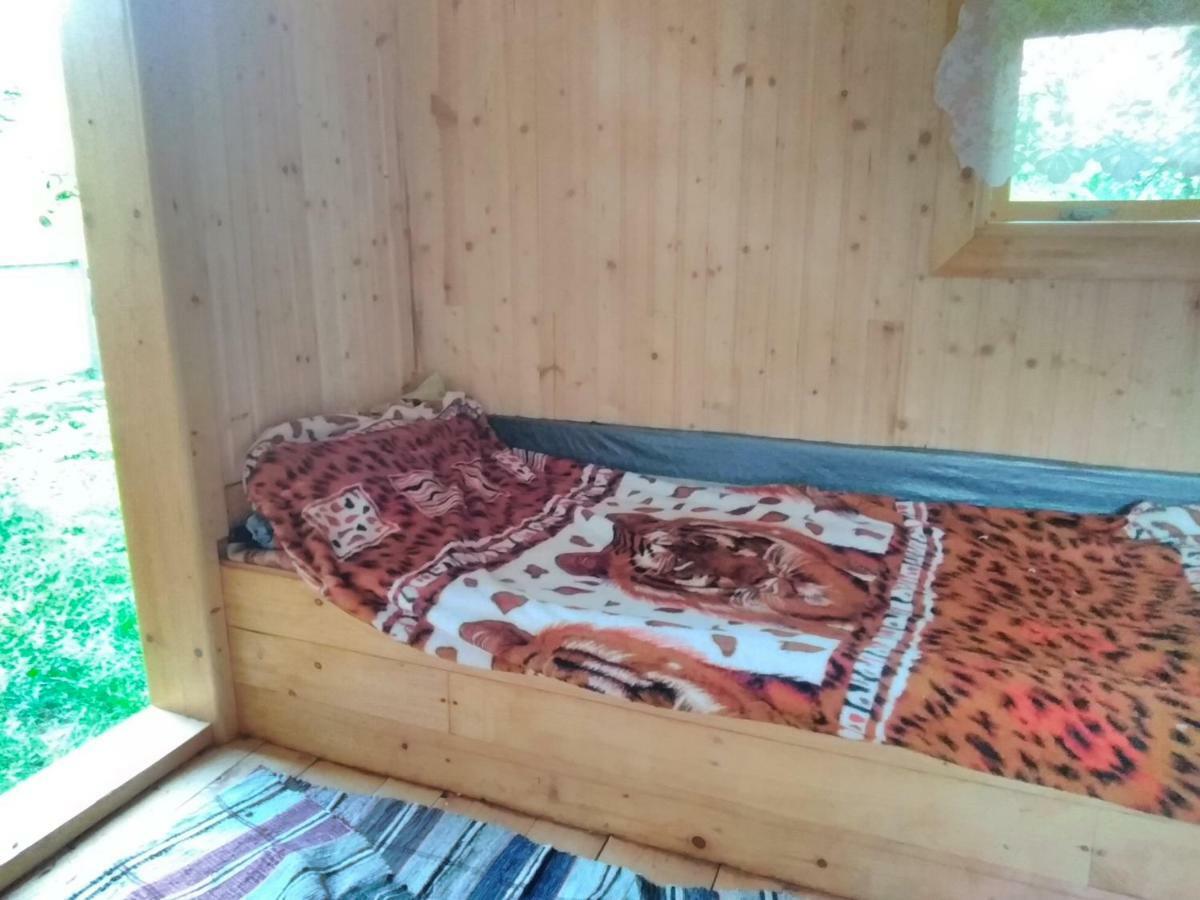בית הארחה Verkhnyaya Bystra 	Відпочинок У Карпатах, Мінеральні Ванни, Банний Чан! מראה חיצוני תמונה
