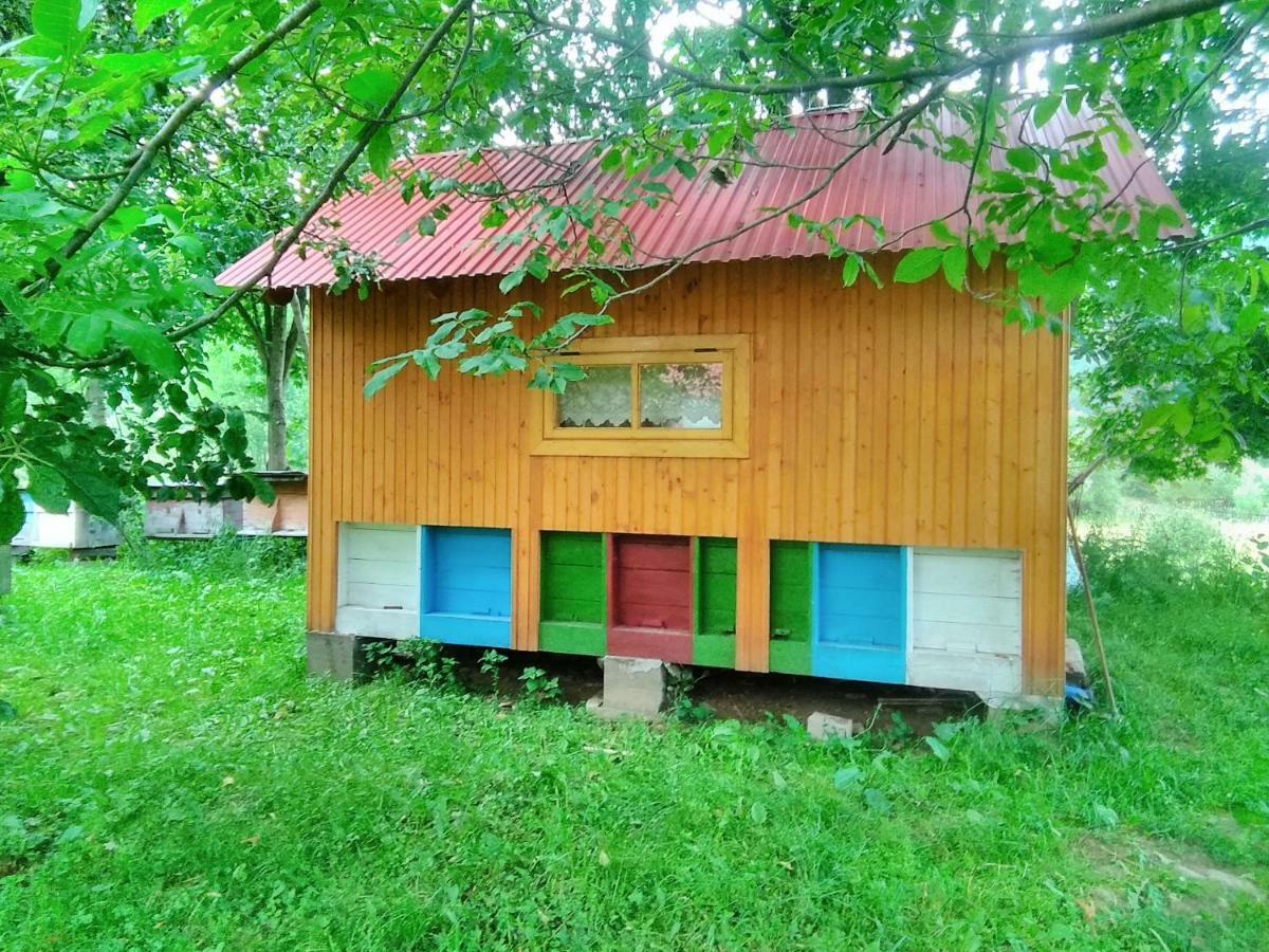 בית הארחה Verkhnyaya Bystra 	Відпочинок У Карпатах, Мінеральні Ванни, Банний Чан! מראה חיצוני תמונה